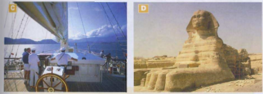 Pictures C and D